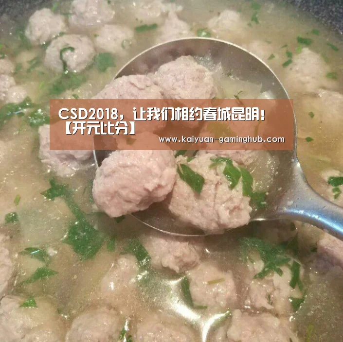 CSD2018,让我们相约春城昆明!【开元比分】(图2) 开元官网