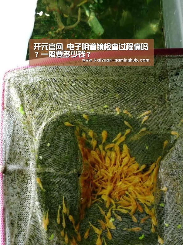 开元官网_电子阴道镜检查过程痛吗?一般要多少钱?(图2) 开元比分