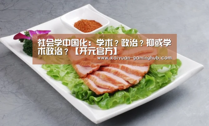 社会学中国化:学术?政治?抑或学术政治?【开元官方】(图1) 开元首页