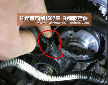开元官方|第1507章 扮猪吃老虎(图2) 开元比分