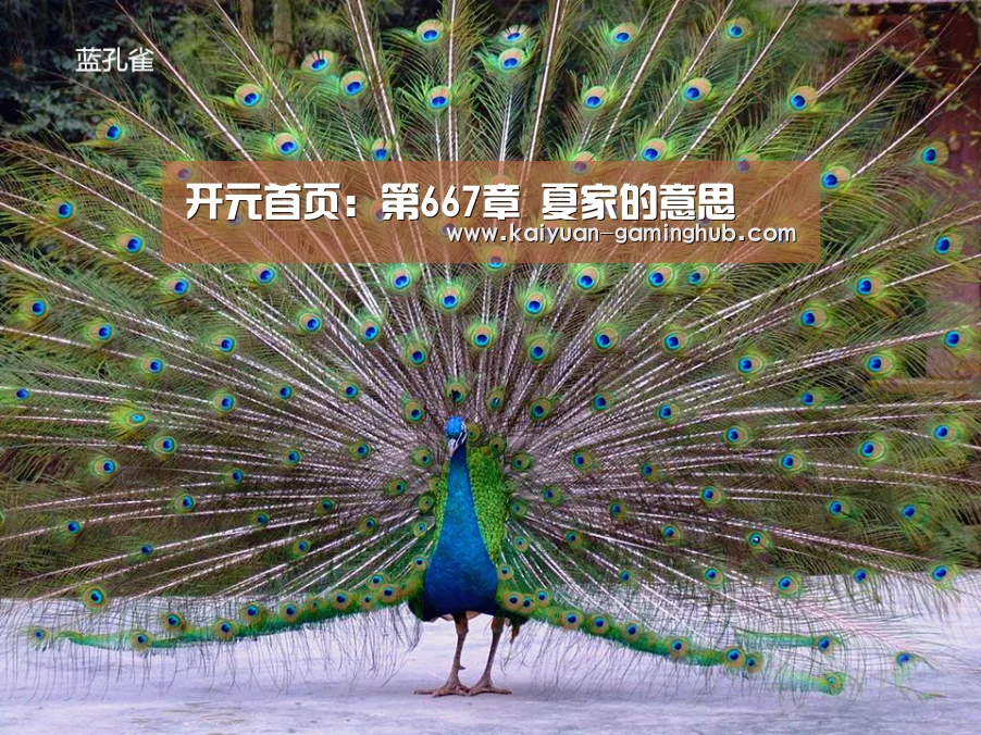 开元官方